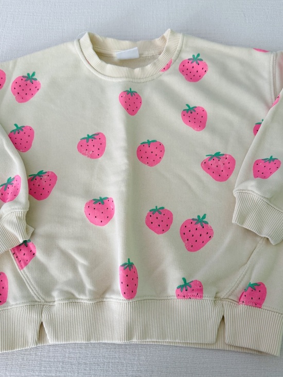 Zara Other - Zara  strawberry sweatshirt